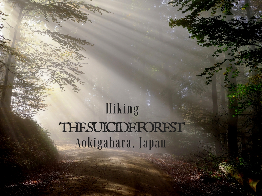 Japan's Suicide forest, Aokigahara