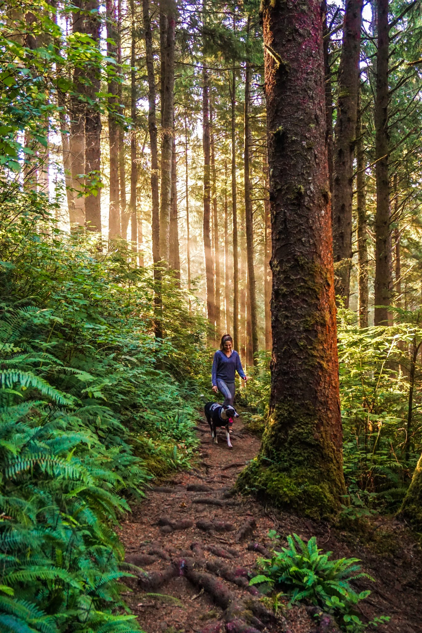 vancouver island trails